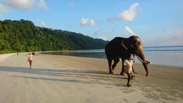 1640164391_61c2ec273bb4e_banner