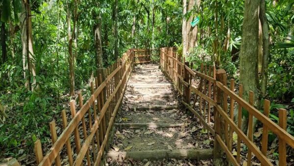 1653466392_20220415_123422