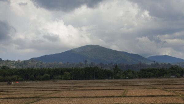 2018081366-olw68xd828it3bvgbn6dm56ojft4ea3v62l40rrjii