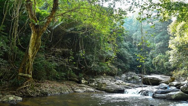 desktop-wallpaper-thailand-pala-u-waterfall-nature-waterfalls-parks-thailand-forest